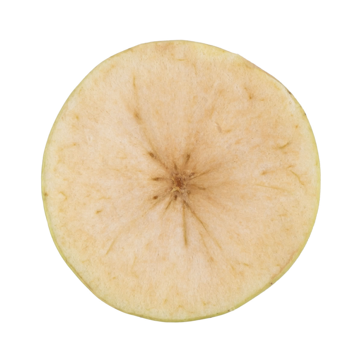 Freeze-Dried(Dondurularak Kurutulmuş) Elma 20 g